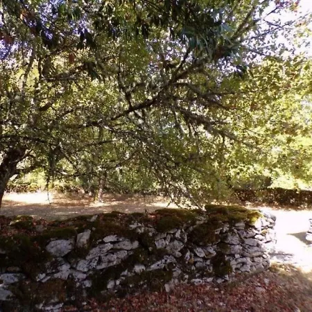 Tatil Evi House La Garenne Mejere 2 *